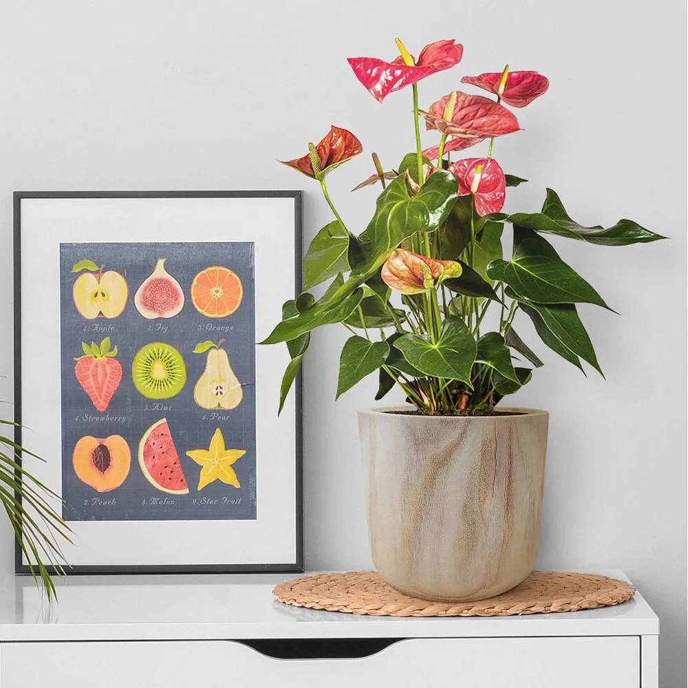 LECHUZA Hortico Craft Round Plant Pot 2 Pack - Brown, Hardwood