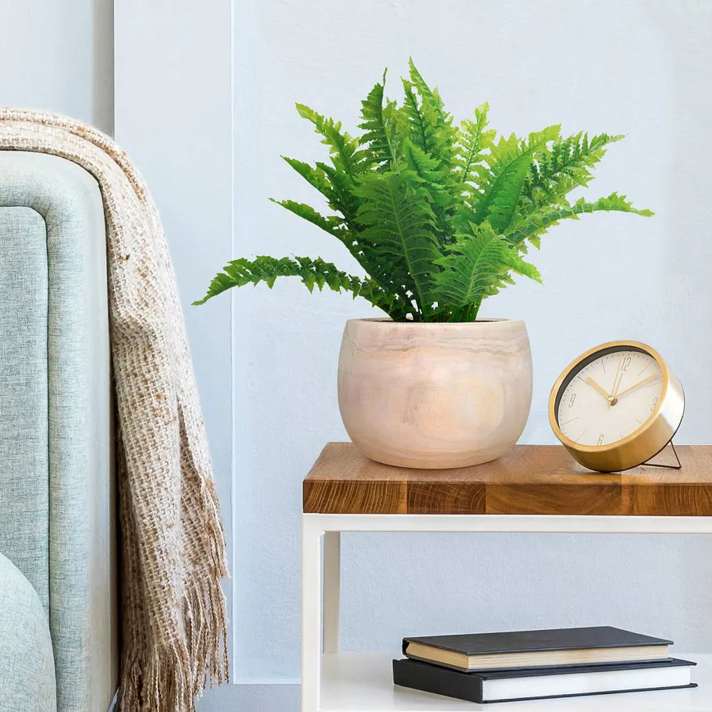 LECHUZA Hortico Eco Round Plant Pot 2 Pack - Brown, Hardwood