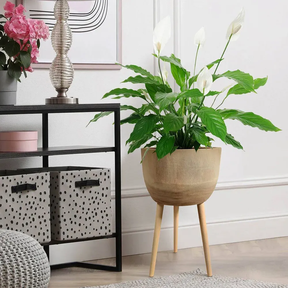 Lechuza Hortico Gaia Planter with Legs - Brown, Wood