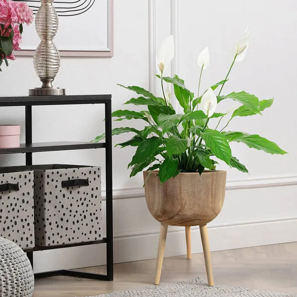 LECHUZA Hortico Gaia Round Plant Pot 2 Pack - Brown, Hardwood