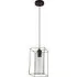 Black Frame Clear Glass Single Pendant Light