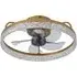 19 inch Crystal LED Ceiling Fan Light with Remote - Gold