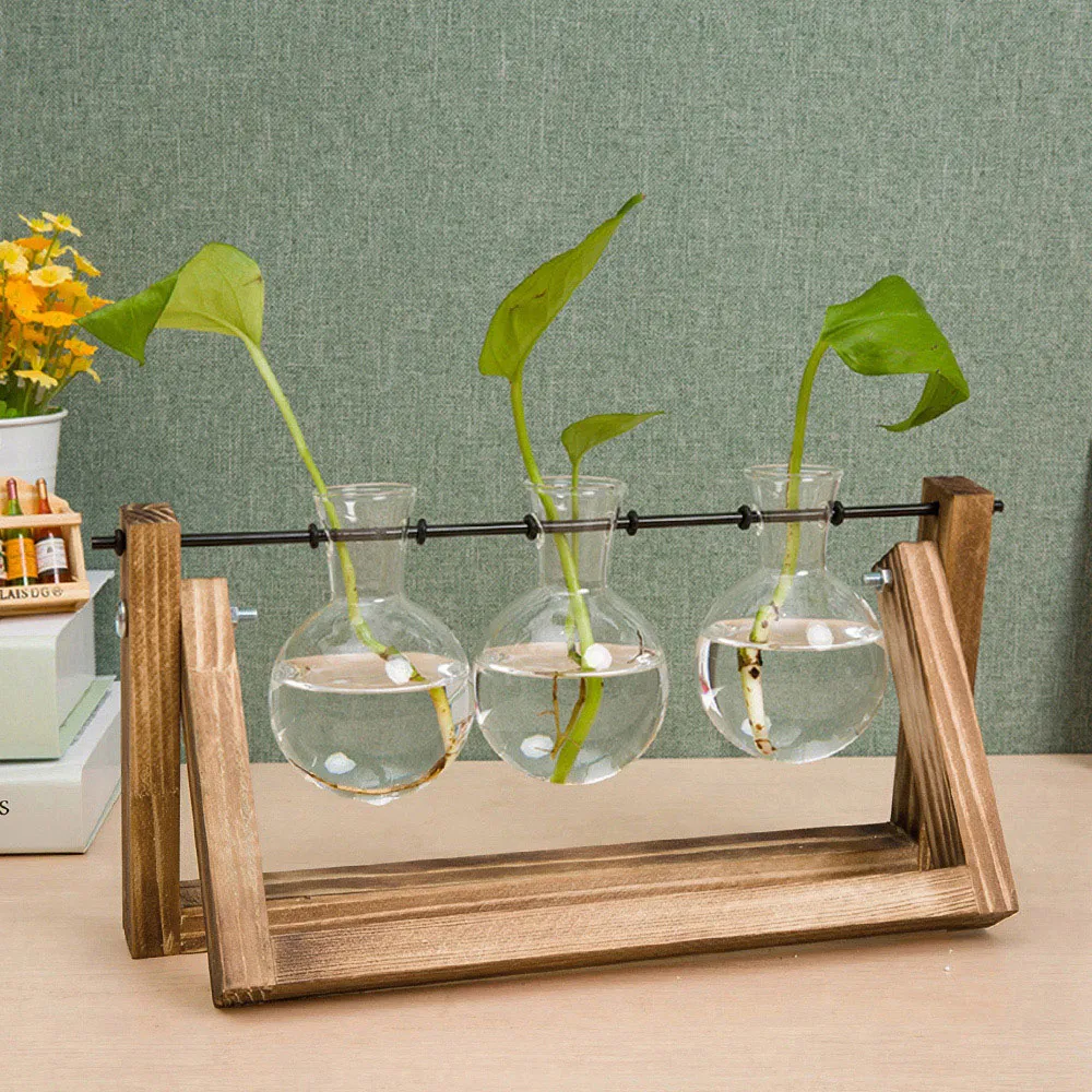 3 Piece Bulb Glass Terrariums with Wood Stand - Multi