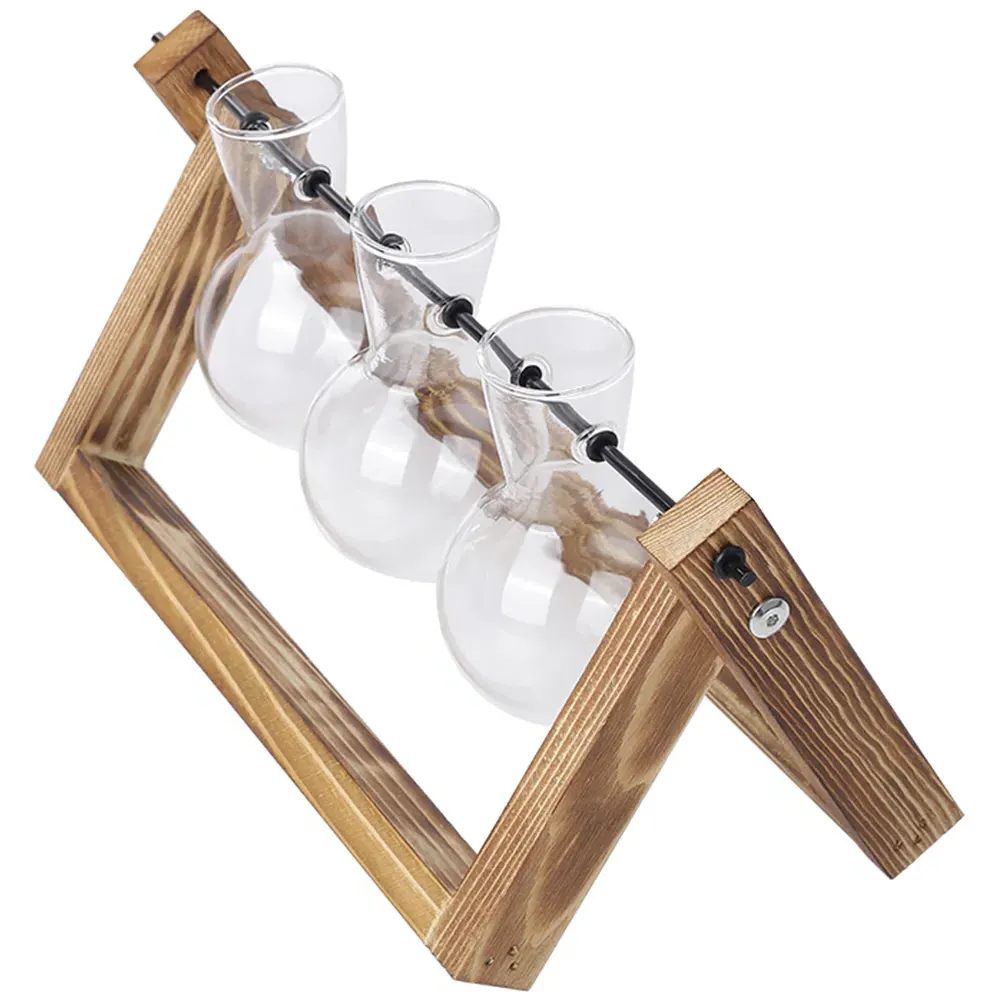 3 Piece Bulb Glass Terrariums with Wood Stand - Multi