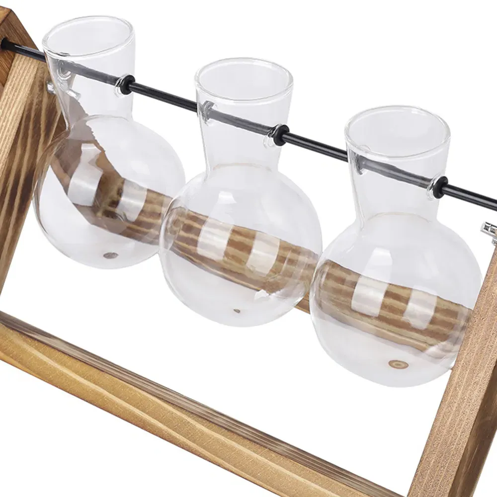 3 Piece Bulb Glass Terrariums with Wood Stand - Multi