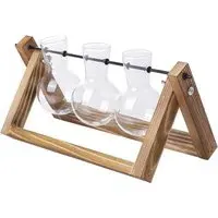 3 Piece Bulb Glass Terrariums with Wood Stand - Multi