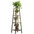 4 Shelf Plant Stand - Brown, Solid Wood