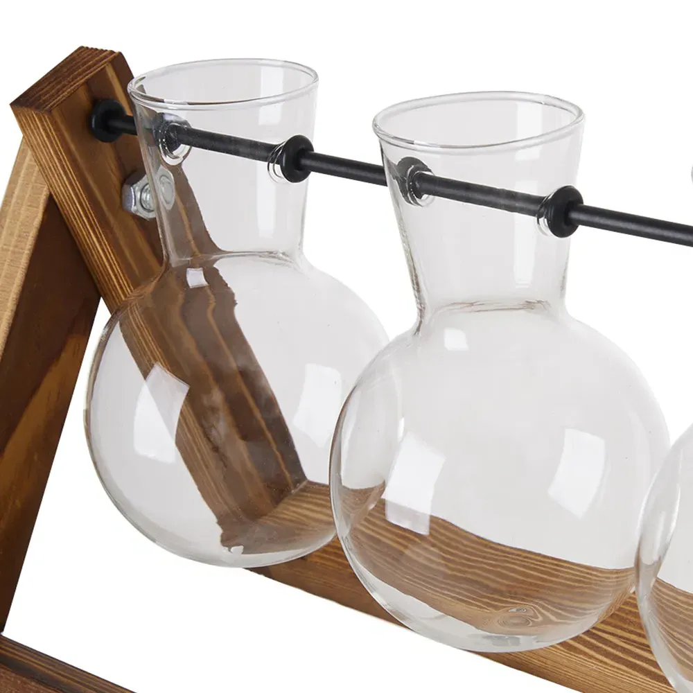 5 Bulb Plant Propagation Station - Natural, Wood