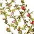 Artificial Rose Vine Hanging Garland - Light Pink