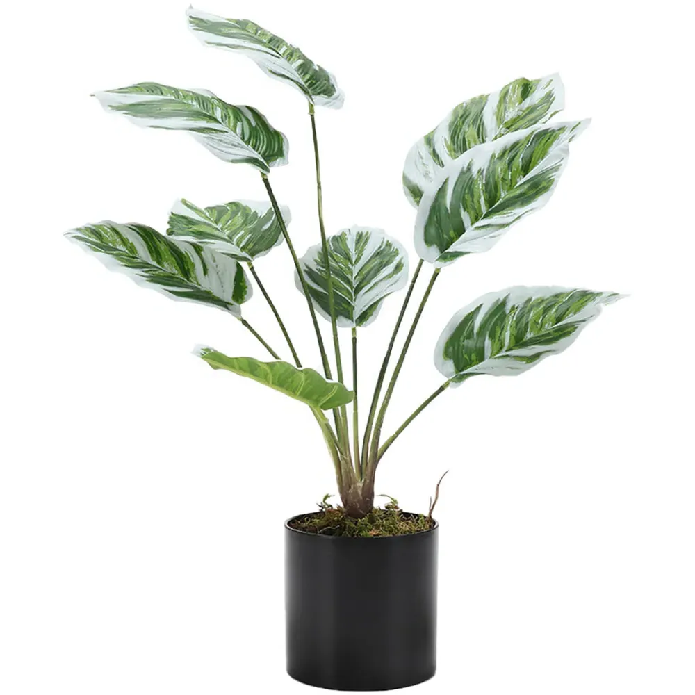 Calathea White Fusion Potted Artificial Plant - Black