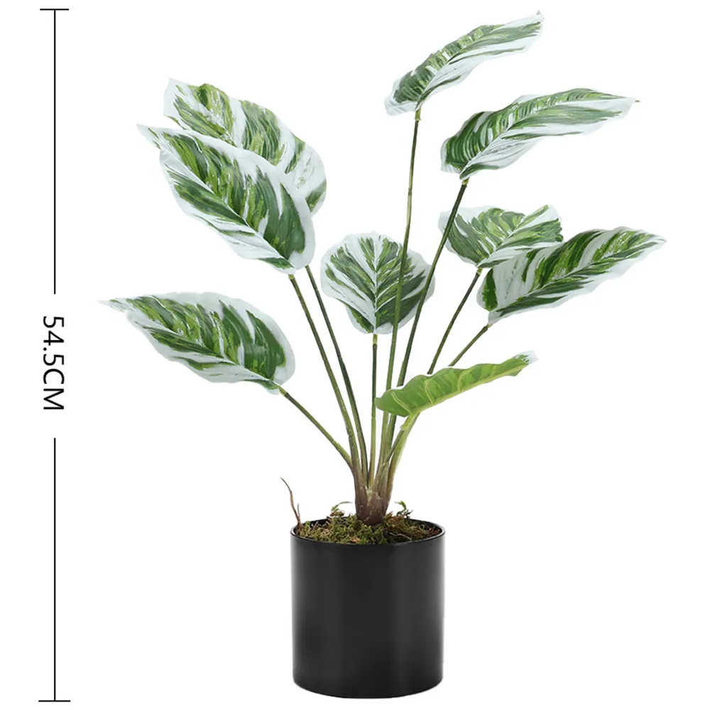 Calathea White Fusion Potted Artificial Plant - Black