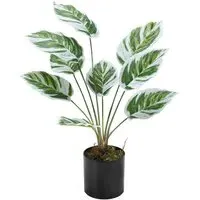 Calathea White Fusion Potted Artificial Plant - Black