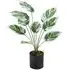 Calathea White Fusion Potted Artificial Plant - Black