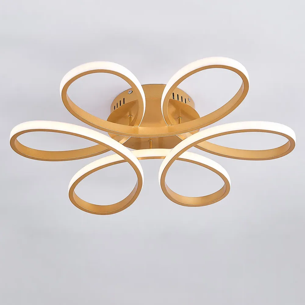 Golden Frame LED Ceiling Light - Gold