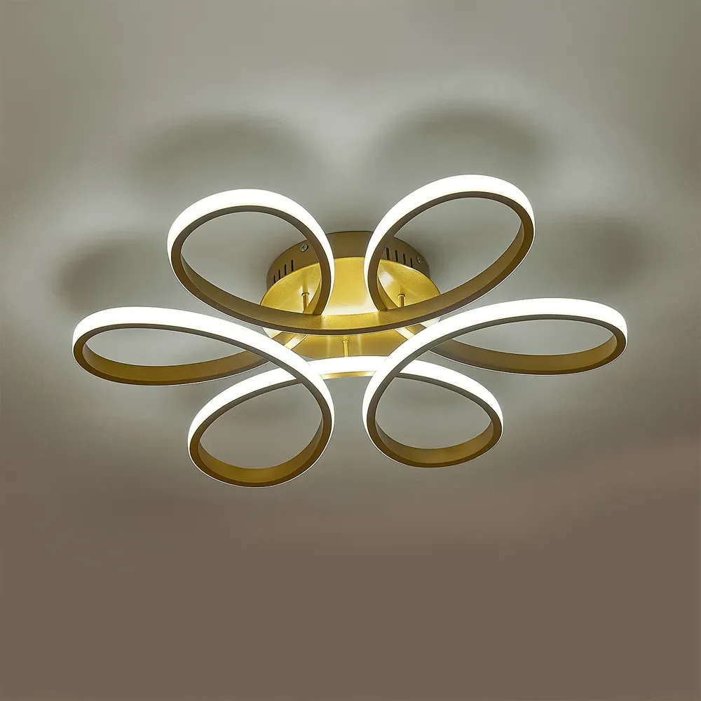 Golden Frame LED Ceiling Light - Gold