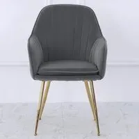 Set of 2 Velvet Upholstered Dining Chair - Grey