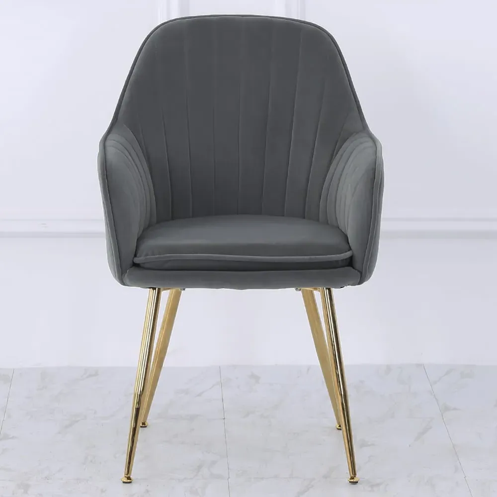 Set of 2 Velvet Upholstered Dining Chair - Grey