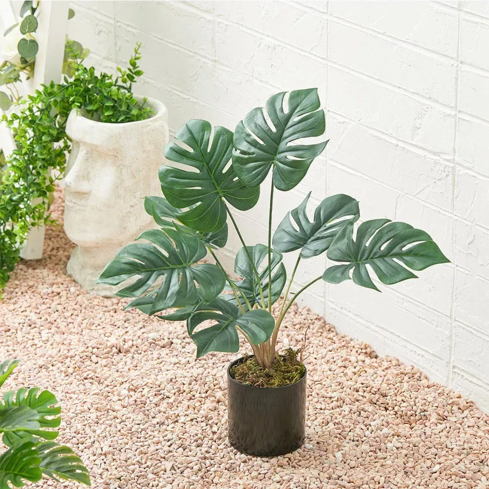 Turtle Back Leaf Potted Artificial Plant - Black