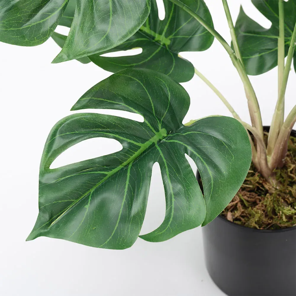 Turtle Back Leaf Potted Artificial Plant - Black