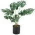 Turtle Back Leaf Potted Artificial Plant - Black
