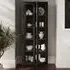 Mase 2 Door Glass Display Cabinet - Black