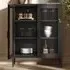 Reuben 2 Door Display Cabinet with Mesh Panels - Black