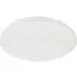 Allister 38cm Ceiling Light with Remote - White