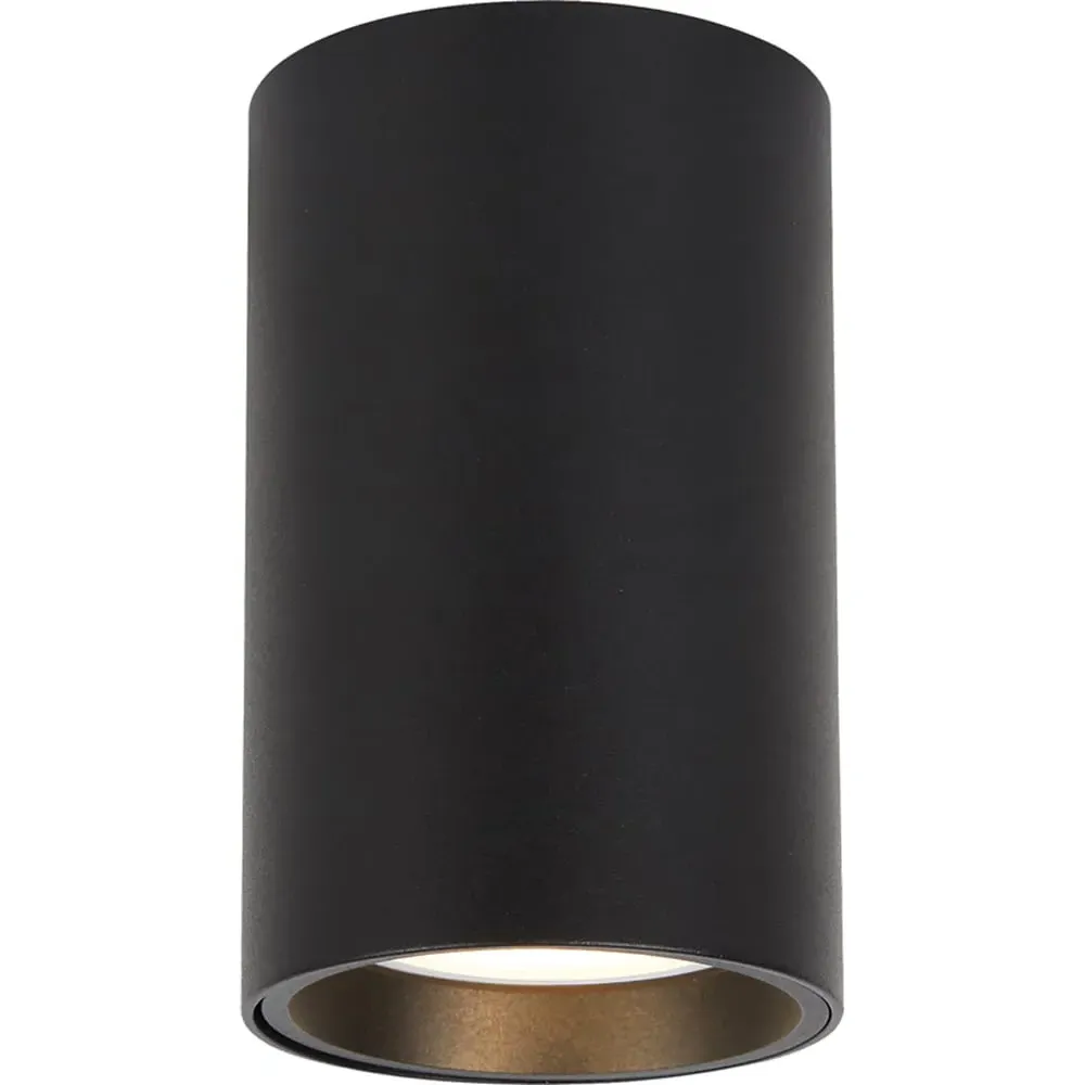 Genesis Cylindrical Spot Light - Black image