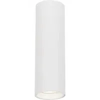 Genesis Cylindrical Spot Light - White