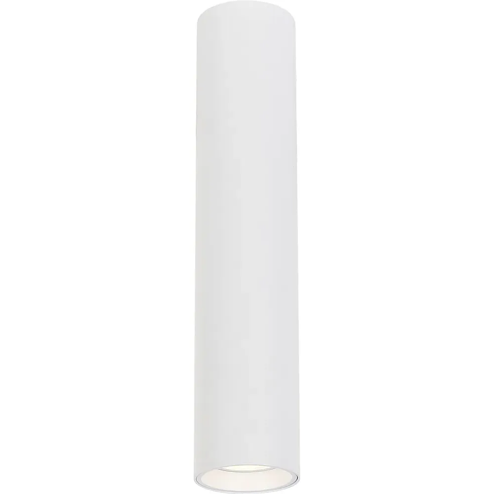 Genesis Cylindrical Spot Light - White