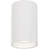 Genesis Cylindrical Spot Light - White