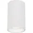 Genesis Cylindrical Spot Light - White
