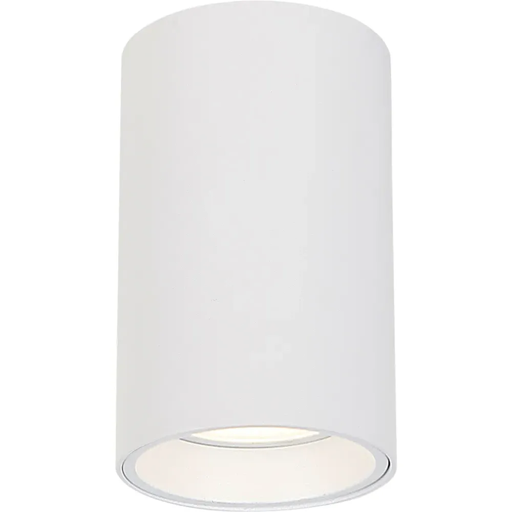 Genesis Cylindrical Spot Light - White image