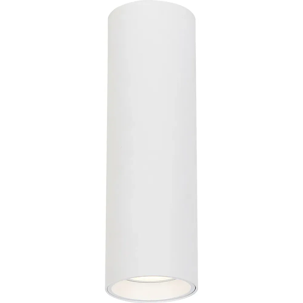 Genesis Cylindrical Spot Light - White