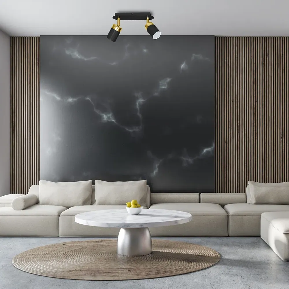 Joker 2 Spotlight Ceiling Lamp - Black, Gold