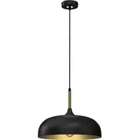 Lincoln Pendant Light with Adjustable Height - Black, Metal