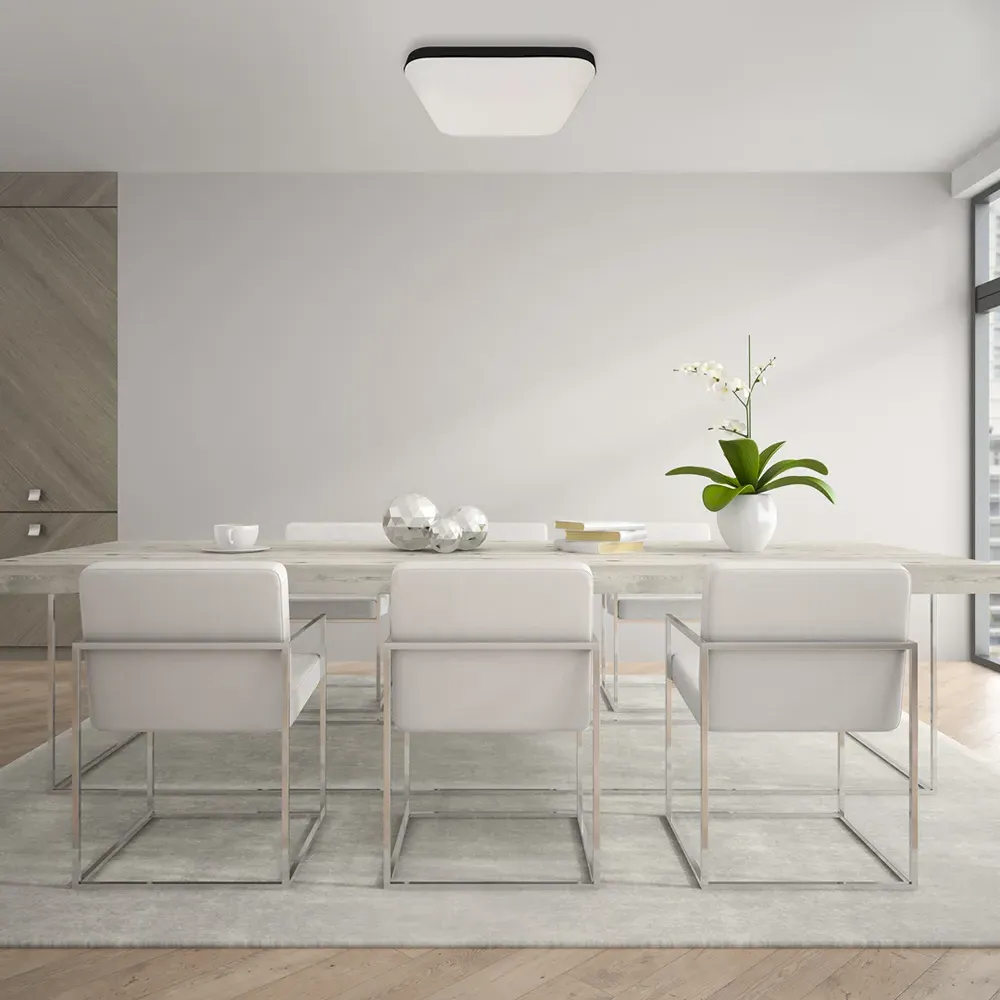 Nemo LED Ceiling Lamp - Black