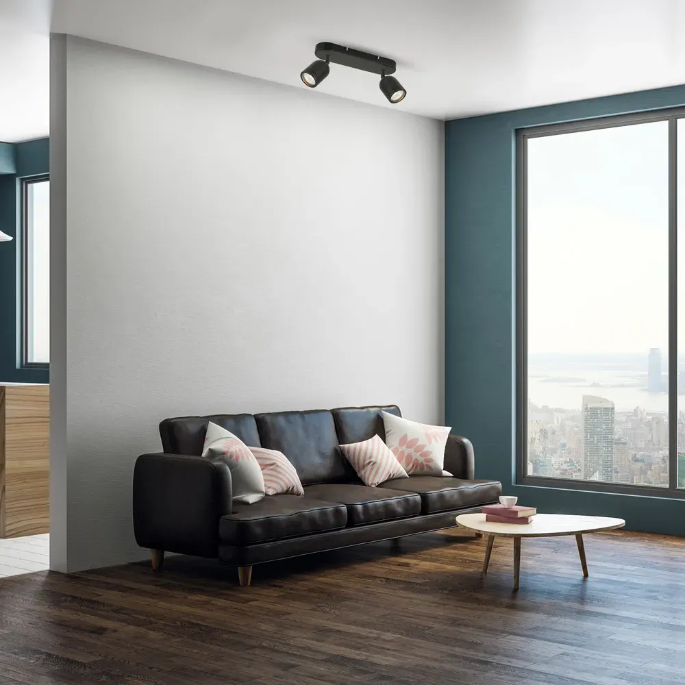 Porter 2 LED Ceiling Light - Black