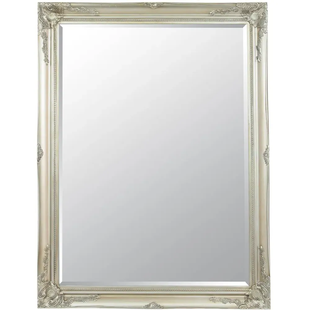 Buxton Wall Mirror - Silver image