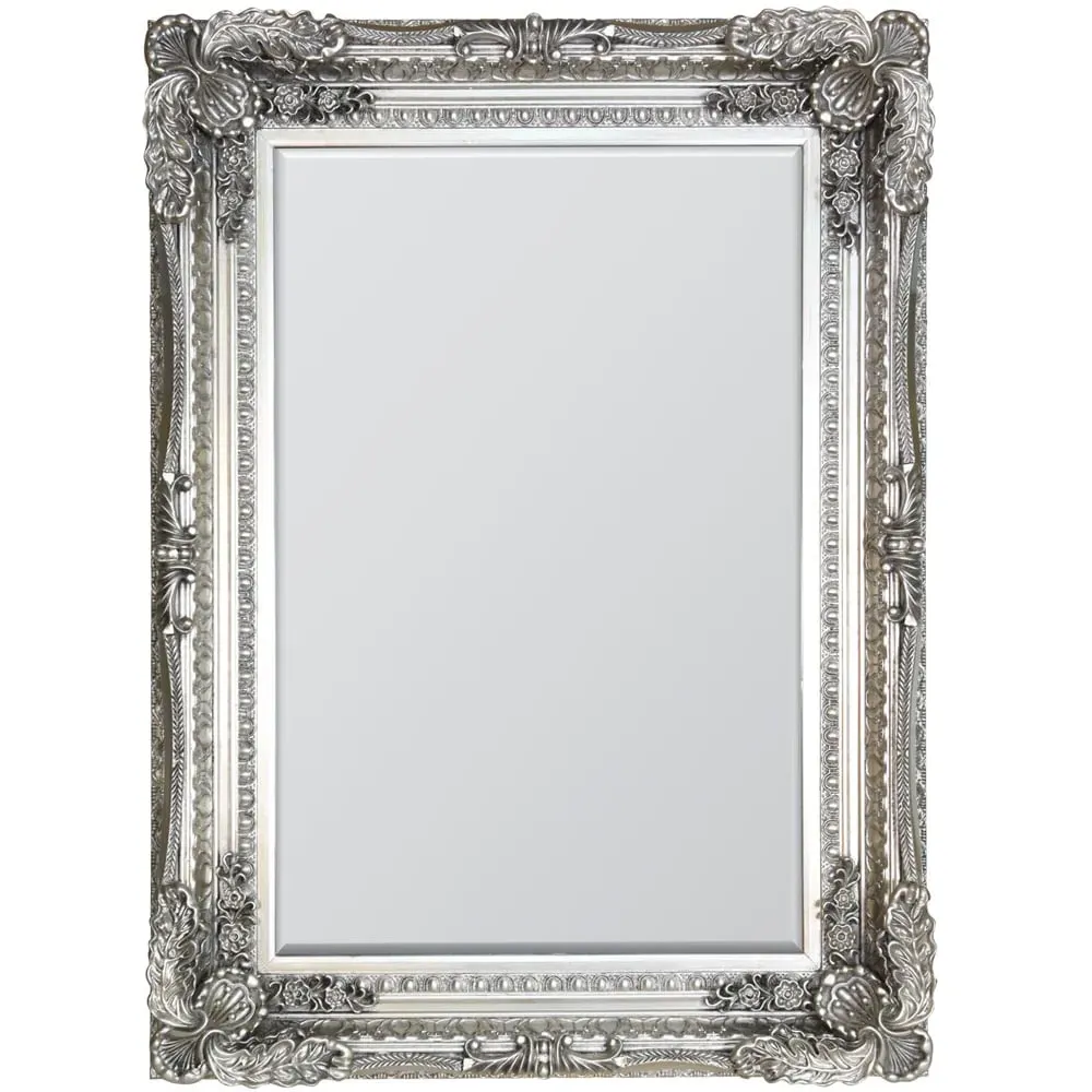 Carved Louis Wall Mirror - Silver image