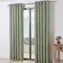 Taylor Blackout Eyelet Curtains - Green