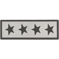 Star Stain Resistant Runner - Grey