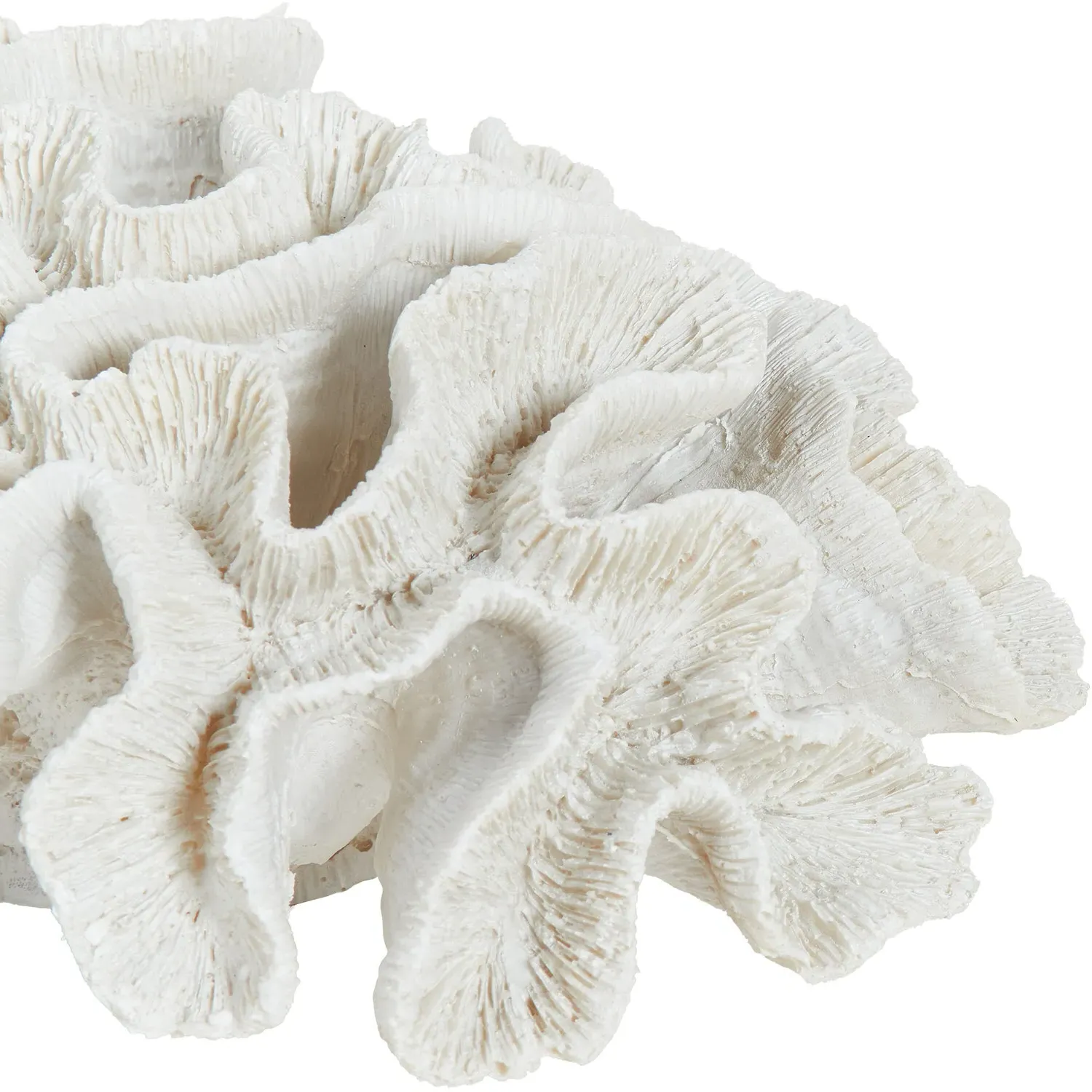 24cm Coral Ornament - White