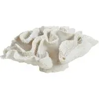 24cm Coral Ornament - White