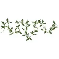 25 LED Daisy String Light