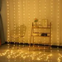 300 LED Curtain Light with Remote