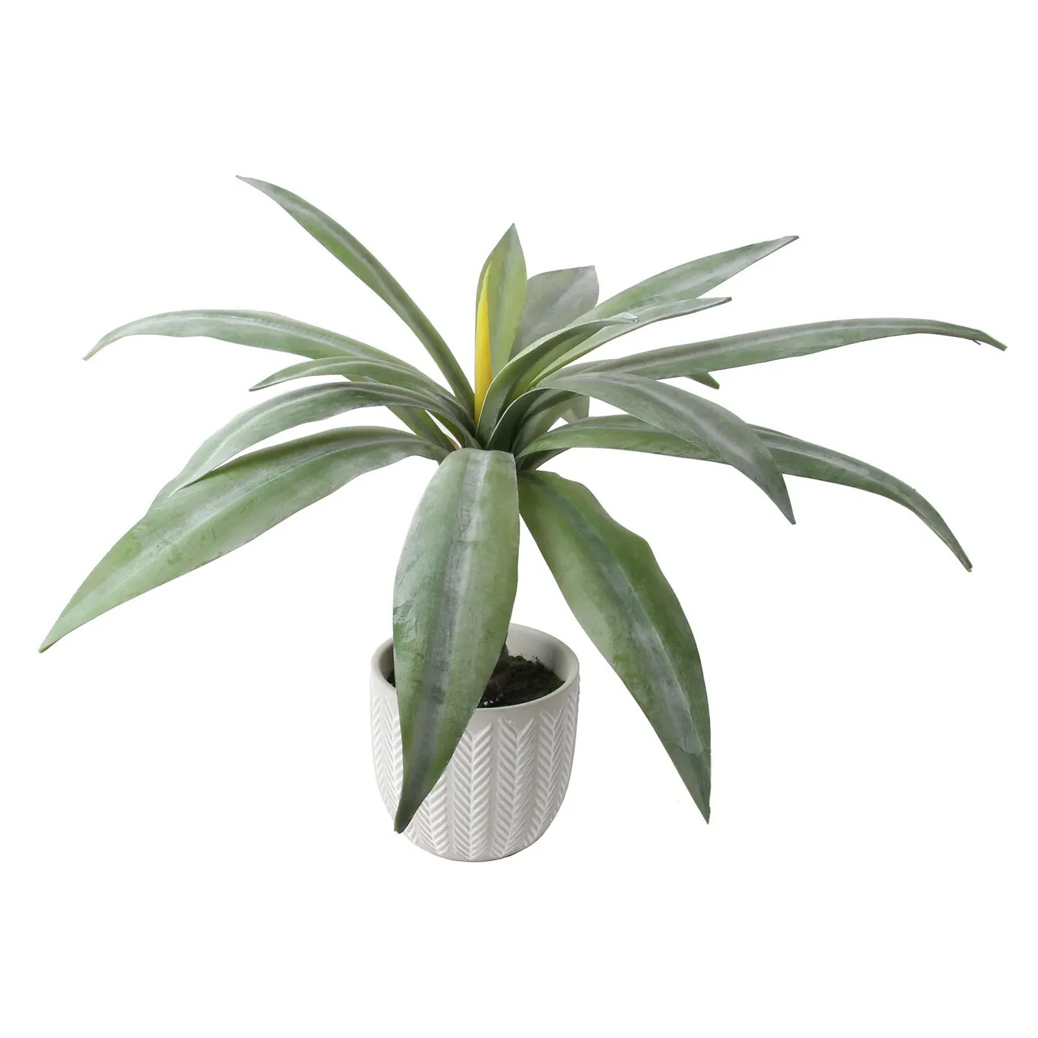 Aloe Plant in Grey Cement Pot - Grey