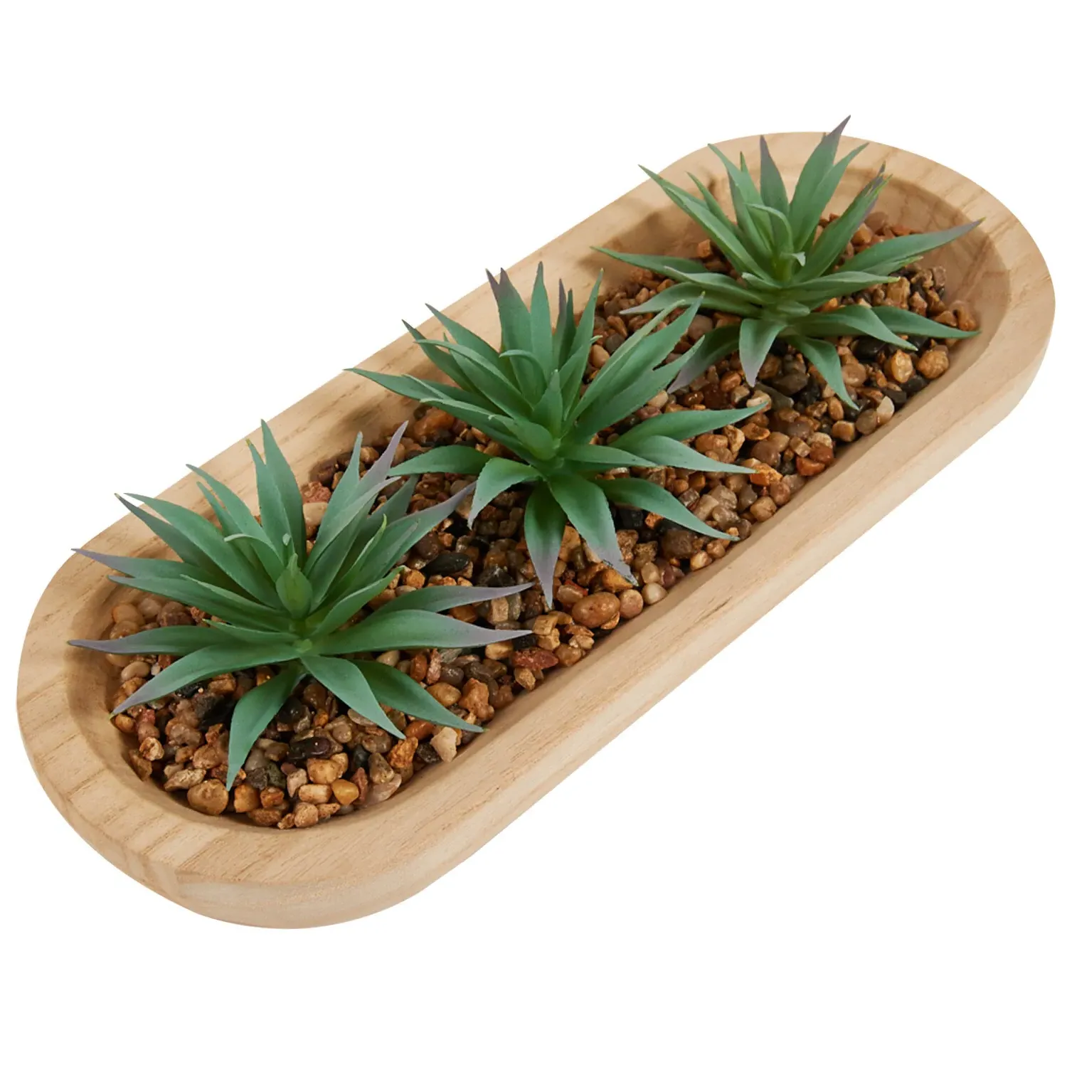 Aloe Plant in Wooden Tray - Green