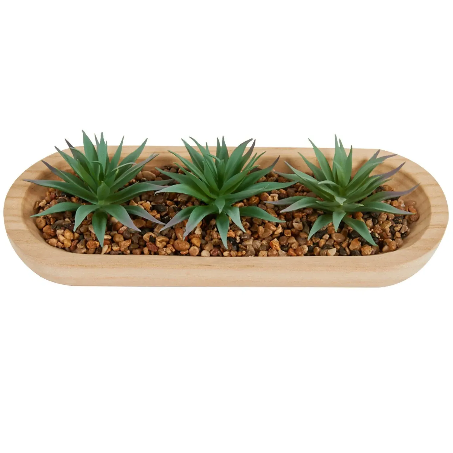 Aloe Plant in Wooden Tray - Green image