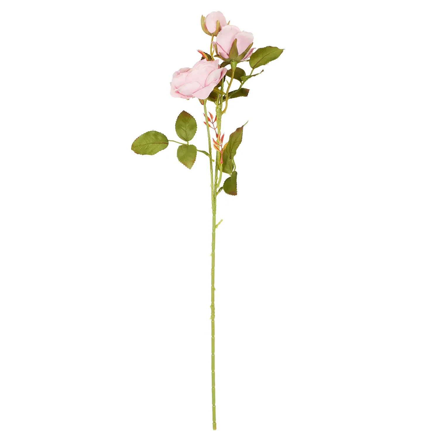 Alora Rose Stem - Multicolour